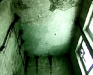dive1_04.jpg