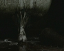 dive1_06.jpg